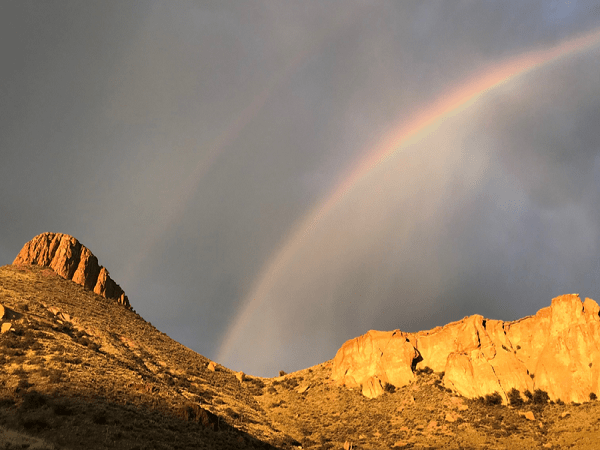 One Year of Isolation