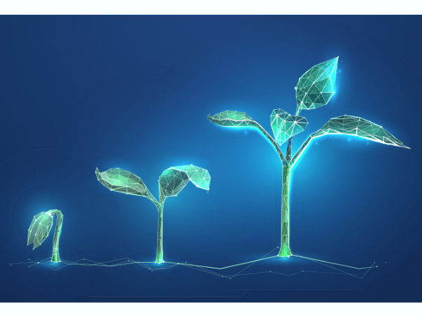 How to Start a Nonprofit Charity and Get 501(c)(3) Status