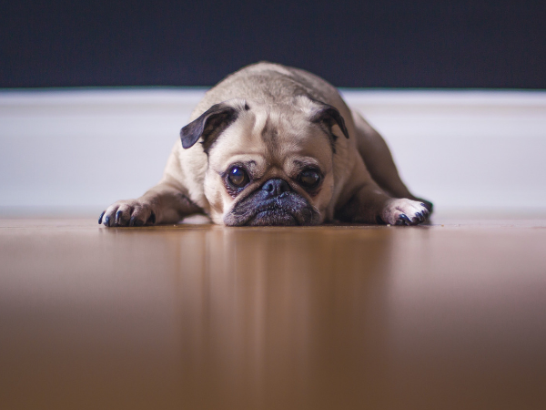 Cry Me a River of Donations