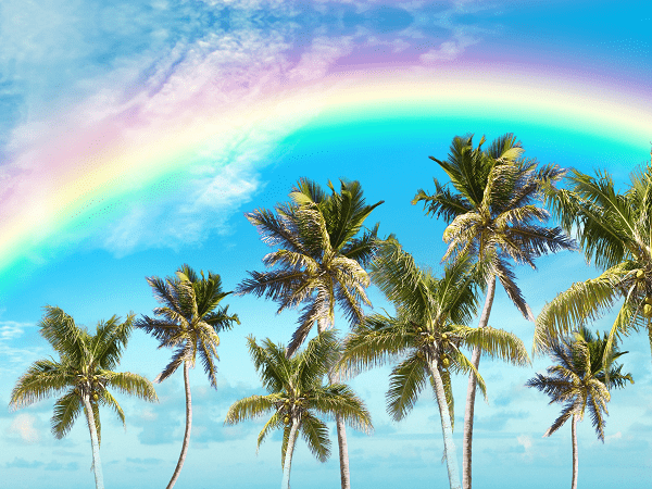 Florida Bill Could Harm LGBTQ+ Nonprofits in the State