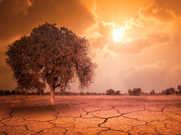 Climate Talk and Climate Action